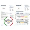 United Kingdom Standard Life utility bill template in Word and PDF format, 7 pages