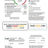 USA Arizona APS electricity proof of address utility bill template in Word and PDF format