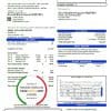 USA California Monte Vista Water District utility bill template in Word and PDF format