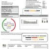 USA California PG&E (Pacific Gas and Electric Company) utility bill template in Word and PDF format
