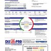 Ecuador Disgaspro gas utility bill template in Word and PDF format