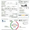 USA California SoCal Gas utility bill template in Word and PDF format