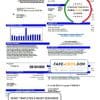 USA City of Sherman utility bill template in Word and PDF format
