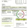 Ecuador Energysource Ecuador energy utility bill template in Word and PDF format