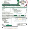 USA Coles – Moultrie utility bill template in Word and PDF format