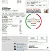 USA Colorado United Power utility bill template in Word and PDF format