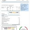 Egypt Egyptian Electricity utility bill template in Word and PDF format