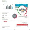 USA ComEd utility bill template in Word and PDF format