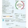 USA Con Edison electricity utility bill template in Word and PDF format