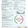 USA Con Edison gas utility bill template in Word and PDF format