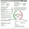 USA Delaware & Maryland Delmarva Power electric and gas utility bill template in Word and PDF format
