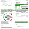 USA Delaware Electric Co-op utility bill template in Word and PDF format