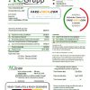Estonia AC Grupp OÜ electricity utility bill template in Word and PDF format