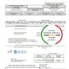 USA Florida Pensacola Energy utility bill template in Word and PDF format