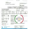 USA Florida Power & Light Company (FPL) electricity utility bill template in Word and PDF format