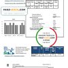 USA Florida Toho Water Authority utility bill template in Word and PDF format