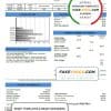 USA Georgia Savannah utility bill template in Word and PDF format