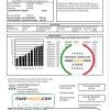USA Hawaiian Electric utility bill template in Word and PDF format (.doc and .pdf)