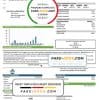 USA Idaho Boise City of Trees water utility bill template in Word and PDF format
