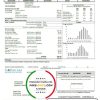 USA Illinois Peoples Gas utility bill template in Word and PDF format