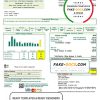USA Indiana Bartholomew County REMC utility bill template in Word and PDF format