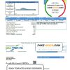 USA Indiana SCI REMC utility bill template in Word and PDF format