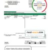 USA Iowa Access Energy Cooperative utility bill template in Word and PDF format