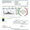 USA Las Vegas Valley Water District (LVVWD) utility bill template in Word and PDF format