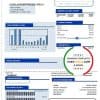 USA Mansfield Texas utility bill template in Word and PDF format (.doc and .pdf)