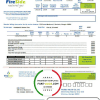 USA California’s FireSide natural gas utility bill template in Word and PDF format