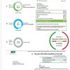 USA Maryland Baltimore Gas and Electric (BGE) utility bill template in Word and PDF format