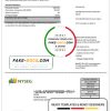 USA Massachusetts Boston NYSEG electricity utility bill template in Word and PDF format