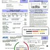 USA Minnesota Valley Electric Cooperative (MVEC) utility bill template in Word and PDF format
