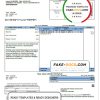 USA Mississippi Dixie Electric utility bill template in Word and PDF format