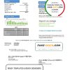 USA Missouri Evergy electricity utility bill template in .doc and .pdf format