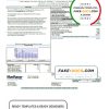USA Mon Power utility bill template in Word and PDF format
