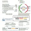 USA Montana Missoula Electric Cooperative electricity utility bill template in Word and PDF format