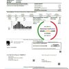 USA Nevada Big Bend Water District utility bill template in Word and PDF format