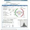 USA Nevada Southwest gas Corporation utility bill template in Word and PDF format