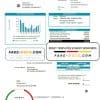USA New Mexico PNM easy fillable utility bill template in Word and PDF format (.doc and .pdf)