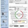 USA New York National Grid utility bill template in Word and PDF format