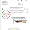 France Orange utility bill template in Word and PDF format
