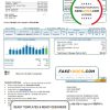 USA North Carolina Brunswick Electric utility bill template in Word and PDF format