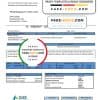 USA North Carolina Duke Energy utility bill template in Word and PDF format