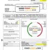 USA OEC electricity utility bill template in Word and PDF format