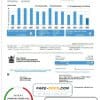 USA Ohio City of Detroit water utility bill template in Word and PDF format