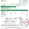 USA Ohio Farmers Electric Cooperative utility bill template in Word and PDF format (version 2)