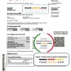 Germany E.ON Energie electricity utility bill template in Word and PDF format