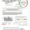 USA Oklahoma OGE Energy utility bill template in Word and PDF format