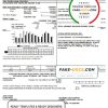 USA Pennsylvania Duquesne Light Company utility bill template in Word and PDF format